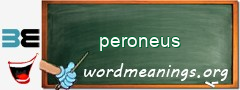 WordMeaning blackboard for peroneus